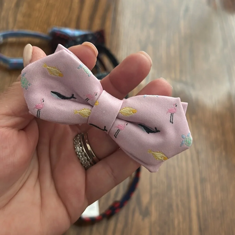 Janie and Jack boys bowtie